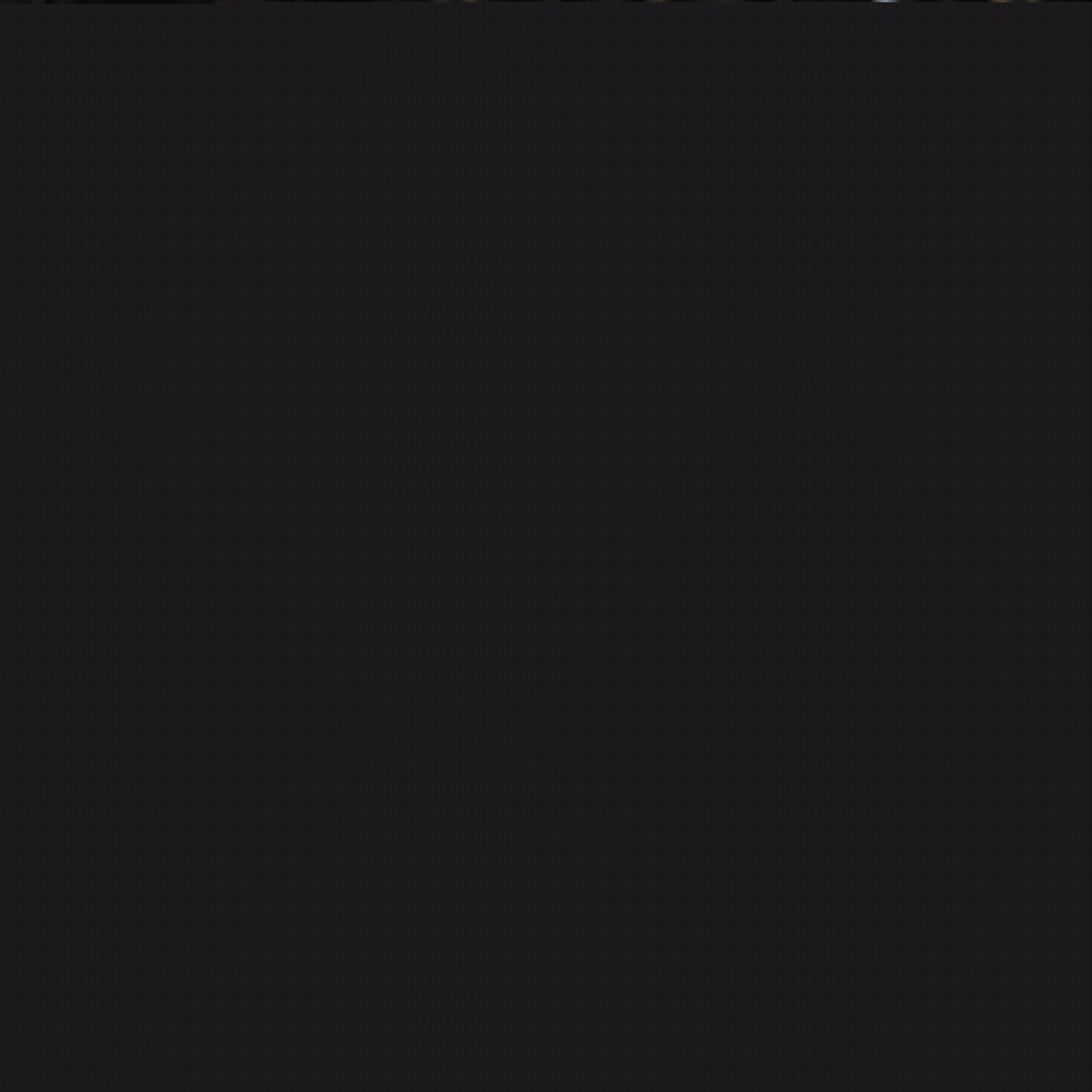 廣泛的討論